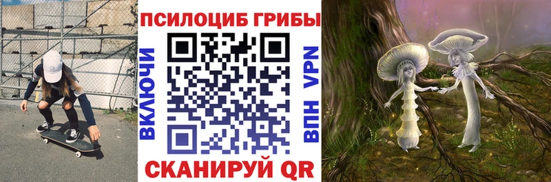 Галлюциногенные грибы Psilocybine cubensis  hydra ONION  Северск 