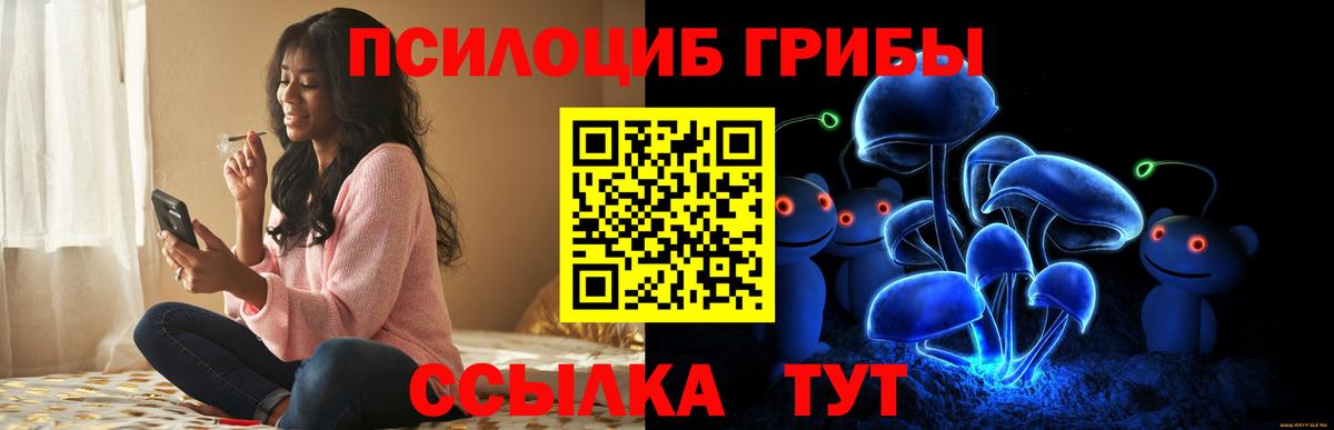 Галлюциногенные грибы прущие грибы  Вход с VPN  Северск 